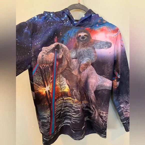 Boys Large Sloth and Dinosaur in Space Funny Pullover Hoodie Hooded Sweatshirt - Picture 1 of 7